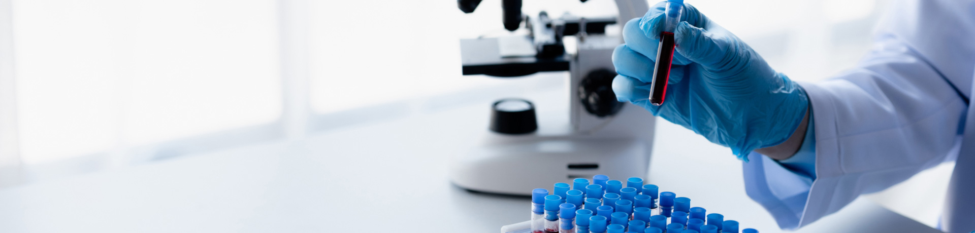 Global Test Lab Solutions