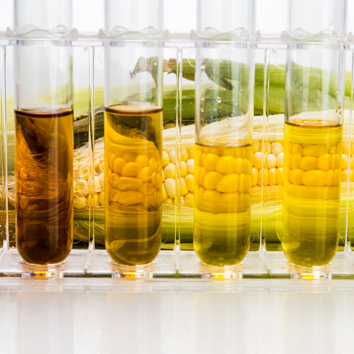 Global Test Lab Solutions